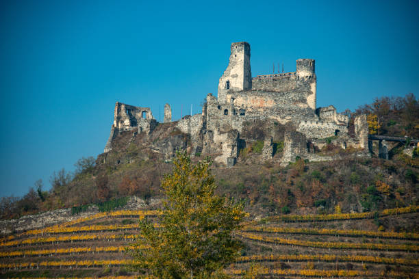 Autumn View on Ruin Senftenberg in Lower Austria, in the middle of vineyards.  26.10.2019