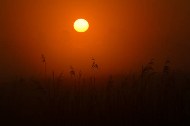 istock Red natural background with sunrise 1300965326