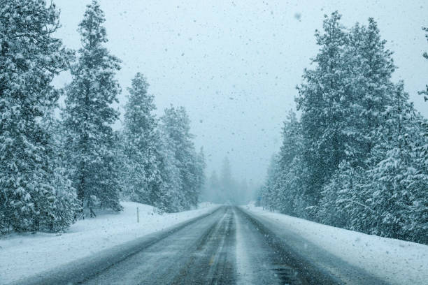 istock Severe blizzard punishes an empty asphalt road crossing the spruce forest. 1300966159
