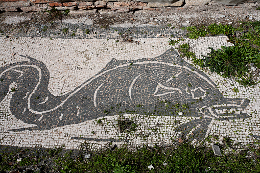 Mosaic in Ostia Antica