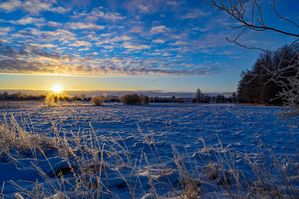 istock sunrise over fields covered in snow in Sweden 1300968398