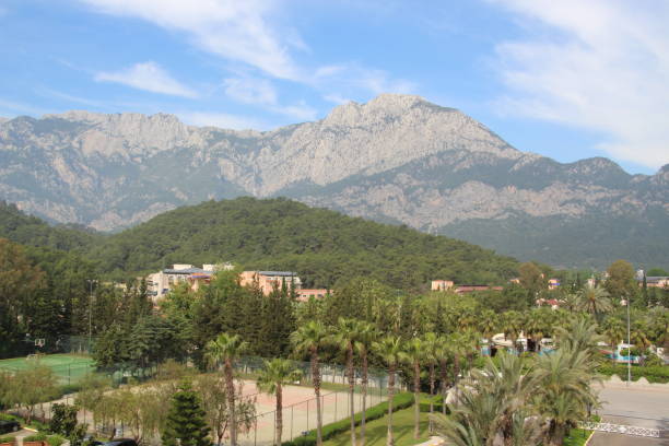 istock Mountain and resort landscape 1300969870