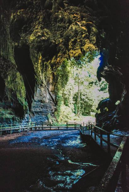 istock Black Cave, Gomantong Caves. 1300970964