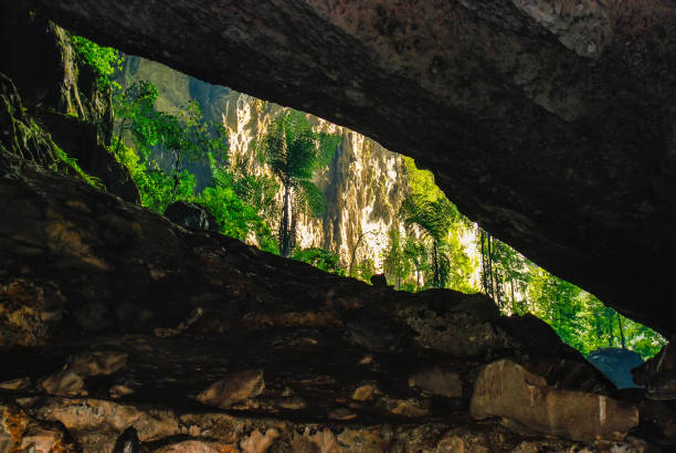 マレーシア、ムルの鹿の洞窟の入り口に生えている木々 - グヌンムル国立公園 ストックフォトと画像
