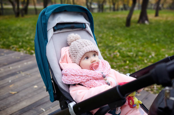 istock Baby in stroller on a walk in autumn park 1300971667