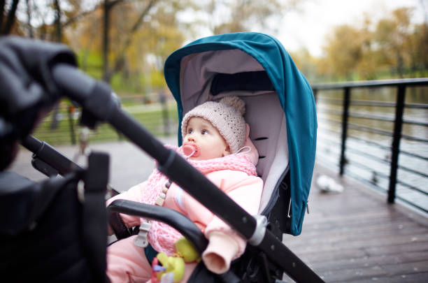 istock Baby in stroller on a walk in autumn park 1300971674