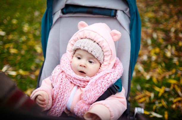 istock Baby in stroller on a walk in autumn park 1300971709