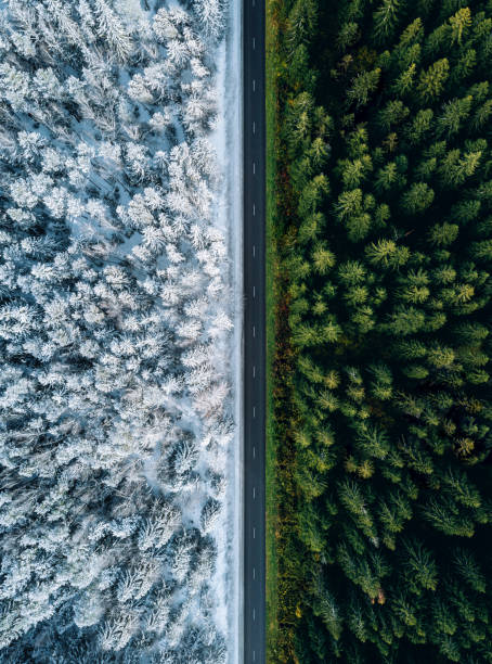 vista aérea de una carretera a través del bosque en verano e invierno. - landscaped landscape winter usa fotografías e imágenes de stock