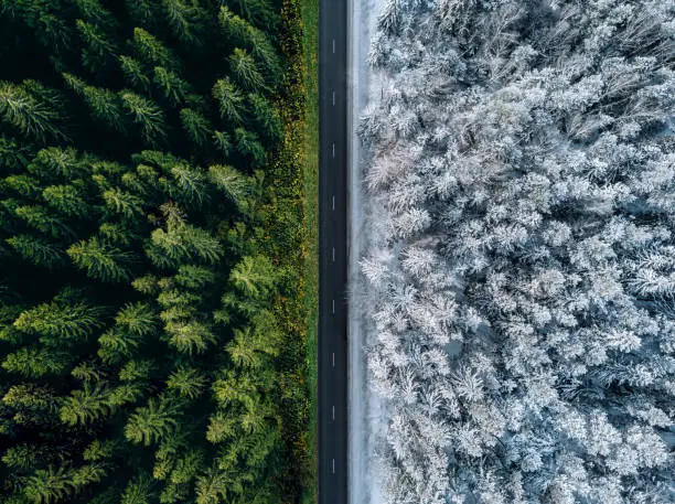 Photo of Aerial view of a highway road through the forest in summer and winter.