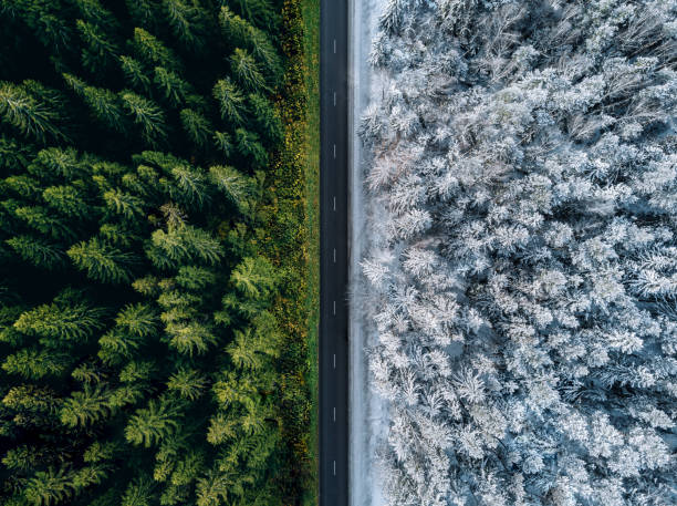 vista aérea de uma estrada pela floresta no verão e inverno. - snowing road winter snow - fotografias e filmes do acervo