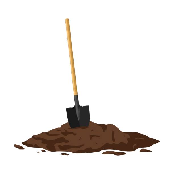 ilustrações de stock, clip art, desenhos animados e ícones de shovel in a pile of soil isolated on white background. work tool for outdoor activities, digging, gardening. construction equipment in heap of dirt. - shovel