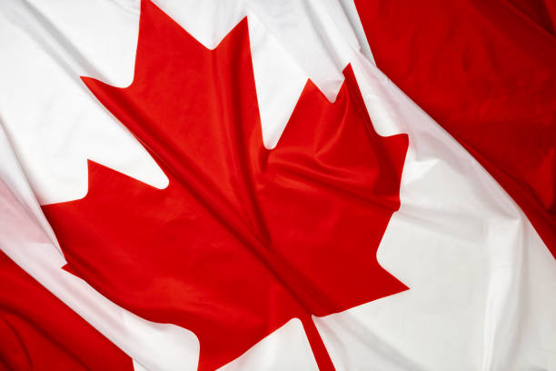 istock Rippled textile flag of Canada close up 1300973245