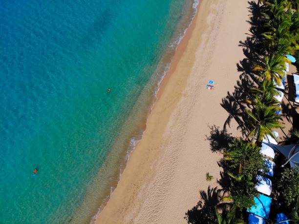 istock Grand Anse in Guadeloupe 1300974253