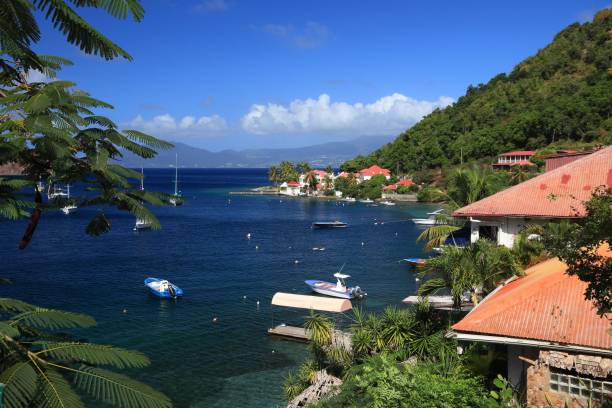 istock Caribbean landscape - Guadeloupe 1300974313