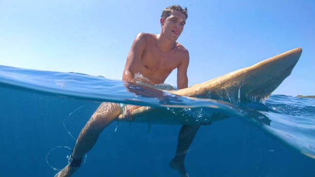 istock HALF UNDERWATER: Fit young man sits on his surfboard and waits for big waves. 1300974772
