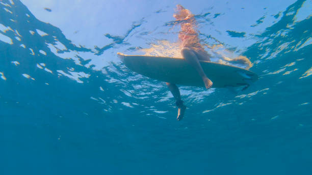 istock UNDERWATER: Unrecognizable female surfer sits on surfboard, waiting in line up 1300974783