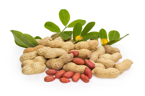 Pile of the dry peanuts in shells and some peeled nut kernels, leaves and flowers of peanut plant on a white background in selective focus