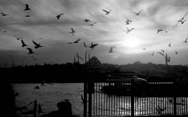 istock black and white analogue (analog) photography 1300975025