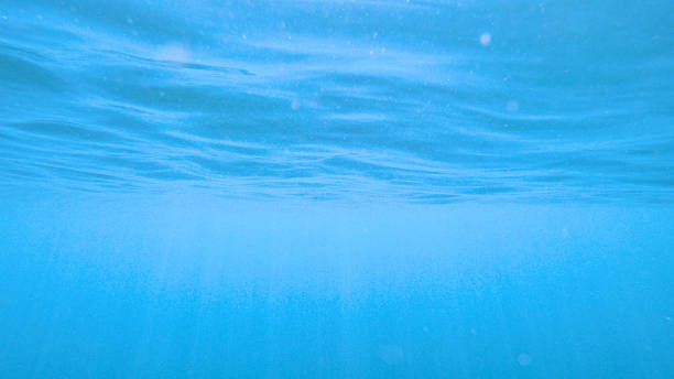 istock UNDERWATER Bright sunbeams shine through tranquil surface of the turquoise ocean 1300975173