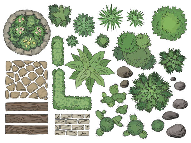 Landscape architect design element set color top sketch aerial view isolated illustration vector Landscape architect design element set color top sketch aerial view isolated illustration vector aerial view landscape stock illustrations