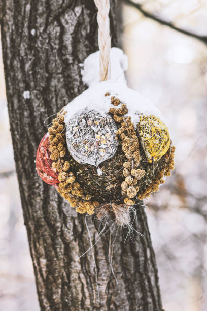 Handmade birds feeding net ball filled with various grains hanging on the tree during winter time
