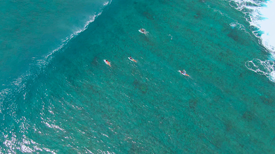 DRONE, TOP DOWN: A series of waves coming from the open waters rush past surfers paddling out. Group of active friends on an awesome surfing trip in the picturesque Maldives paddle out to the line up.