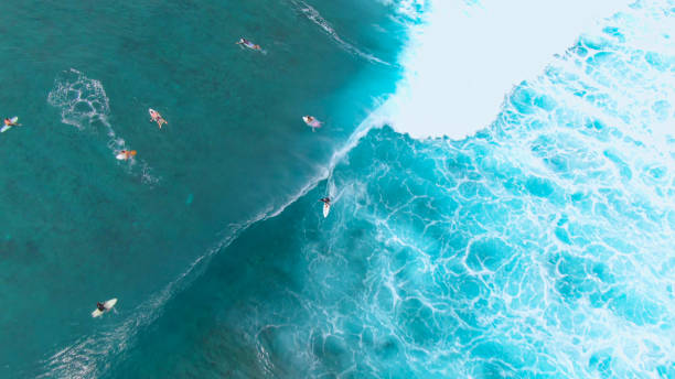 istock AERIAL: Waves coming from the open waters rush past surfers paddling out. 1300977397