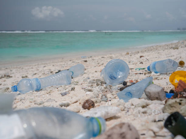 istock CLOSE UP: Plastic canisters and bottles are scattered around the tropical shore. 1300978960