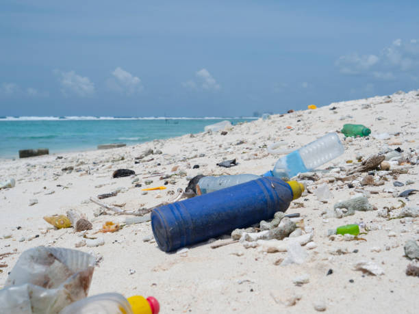 istock CLOSE UP: Empty plastic bottles are flooded onto the tropical white sand beach. 1300979051
