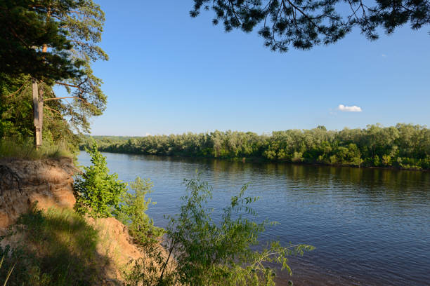 istock Summer landscape with a river and green banks 1300979896
