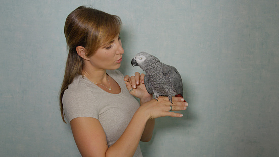 Parrot on the hand