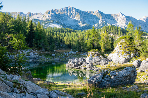 Rocky mountain range overlooks the coniferous forest near the glassy lake in Triglav National Park. Breathtaking view of a crystal clear lake high in Slovenian Julian Alps. Popular hiking destination
