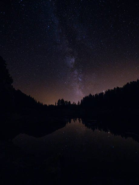 istock Starry night sky and pine tree silhouettes are reflected in the still lake 1300980960