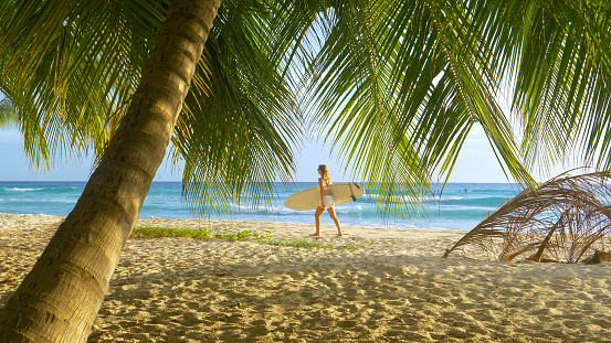 Young female tourist carries her surfboard along an idyllic tropical beach with white sand and lush palm trees. Caucasian woman on surfing trip in Barbados walks down sandy shore with her surfboard.