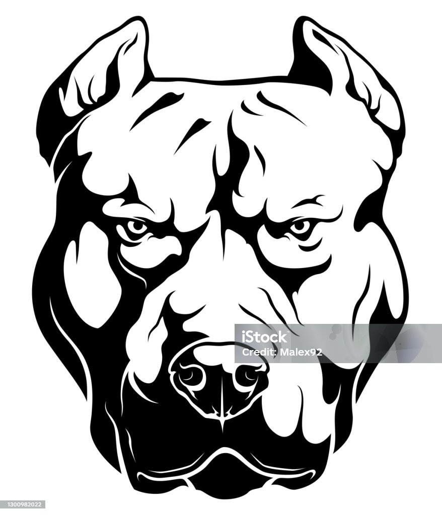Dangerous Pitbull Terrier Stock Illustration - Download Image Now ...