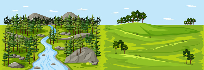 Forest nature landscape scene and blank meadow landscape scene illustration