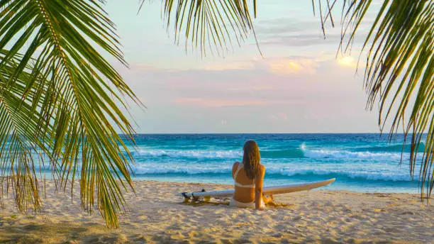 Unrecognizable young woman sits on the sandy beach with a surfboard and watches the ocean at sunset. Carefree female traveler enjoys a relaxing moment on the tropical white sand shore of Barbados.