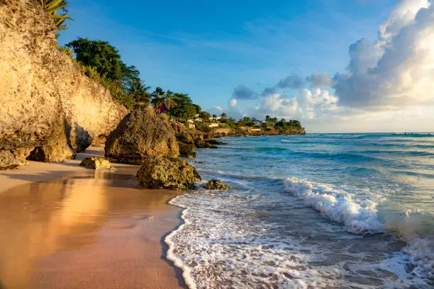 Photo of Scenic view of the golden lit tropical shore with oceanfront houses in distance