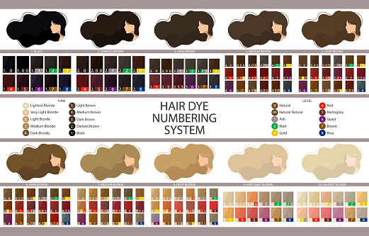 Stock vector palette with hair dye numbering system, levels, tones and undertones. Palette for 10 levels of hair color depth. Women with long wavy hair. Illustration in flat style