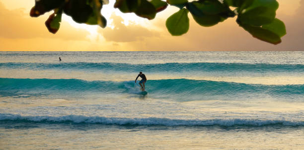 istock CLOSE UP: Athletic man on active vacation surfs a small wave at golden sunset. 1300983716