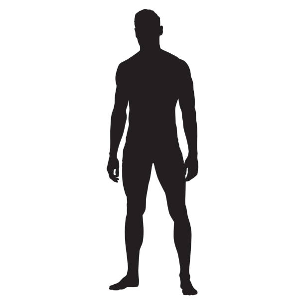 人間の立ち位置ベクトルシルエット - 裸点のイラスト素材／クリップアート素材／マンガ素材／アイコン素材