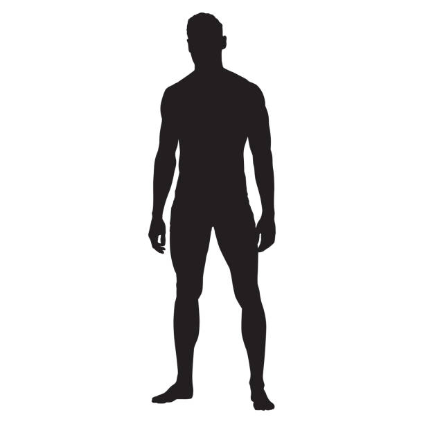 ilustrações de stock, clip art, desenhos animados e ícones de man standing vector silhouette - naked