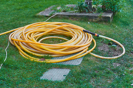 Yellow Rubber tube for watering garden flowers.