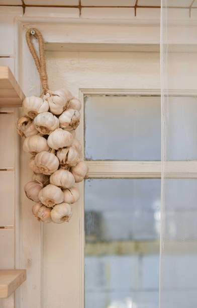 el ajo es un tipo de ingrediente de cocina que cuelga en la pared de la cocina. - garlic hanging string vegetable fotografías e imágenes de stock