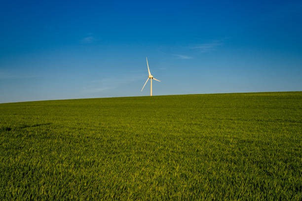 Wind turbine on a field in Essen, North Rhine-Westfalia, Germany