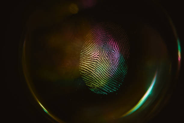 Close up beautiful abstract colored fingerprint on  background texture for design. Macro photography view. Close up beautiful abstract colored fingerprint on  background texture for design. Macro photography view. fingerprint photos stock pictures, royalty-free photos & images