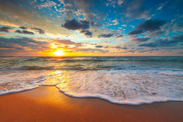 istock Beach sunrise over the tropical sea 1300991944