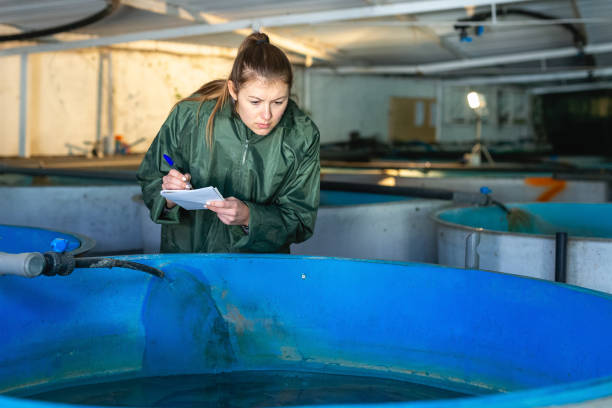 istock Woman controlling fish growth 1300992158