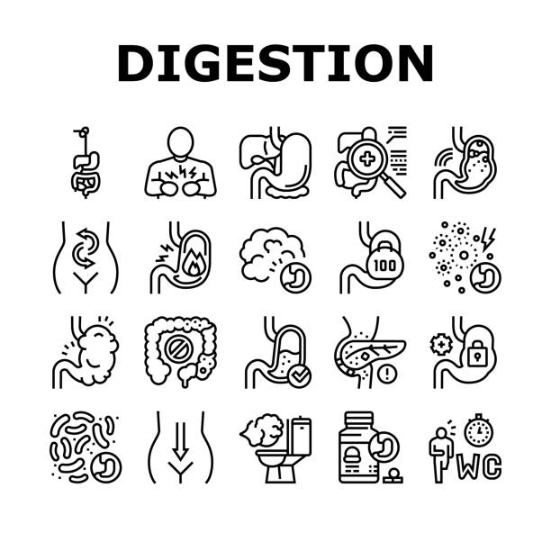 Digestion Disease And Treatment Icons Set Vector Digestion Disease And Treatment Icons Set Vector. Digestion System And Gastrointestinal Tract, Examining And Consultation, Heartburn And Gassing Black Contour Illustrations tear gas stock illustrations