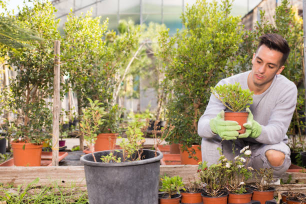 istock Young gardener caring for flowers in orangery 1300993516